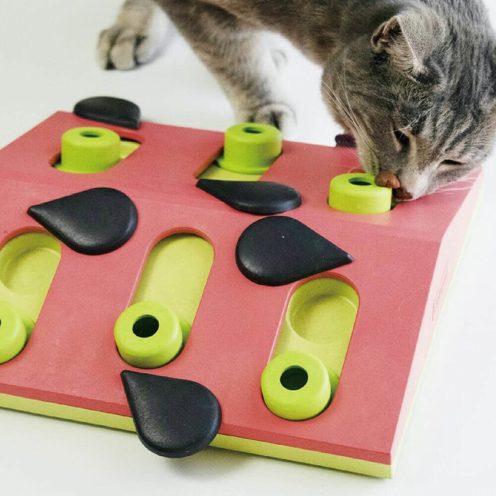 【寵物益智、抗憂鬱玩具】Nina Ottosson 趣味貓-西瓜果盤 LV.2
