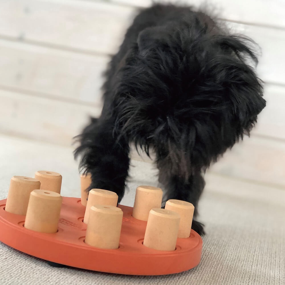 【寵物益智、抗憂鬱玩具】Nina Ottosson 聰明狗-造型圓筒盤(大地系) LV.1