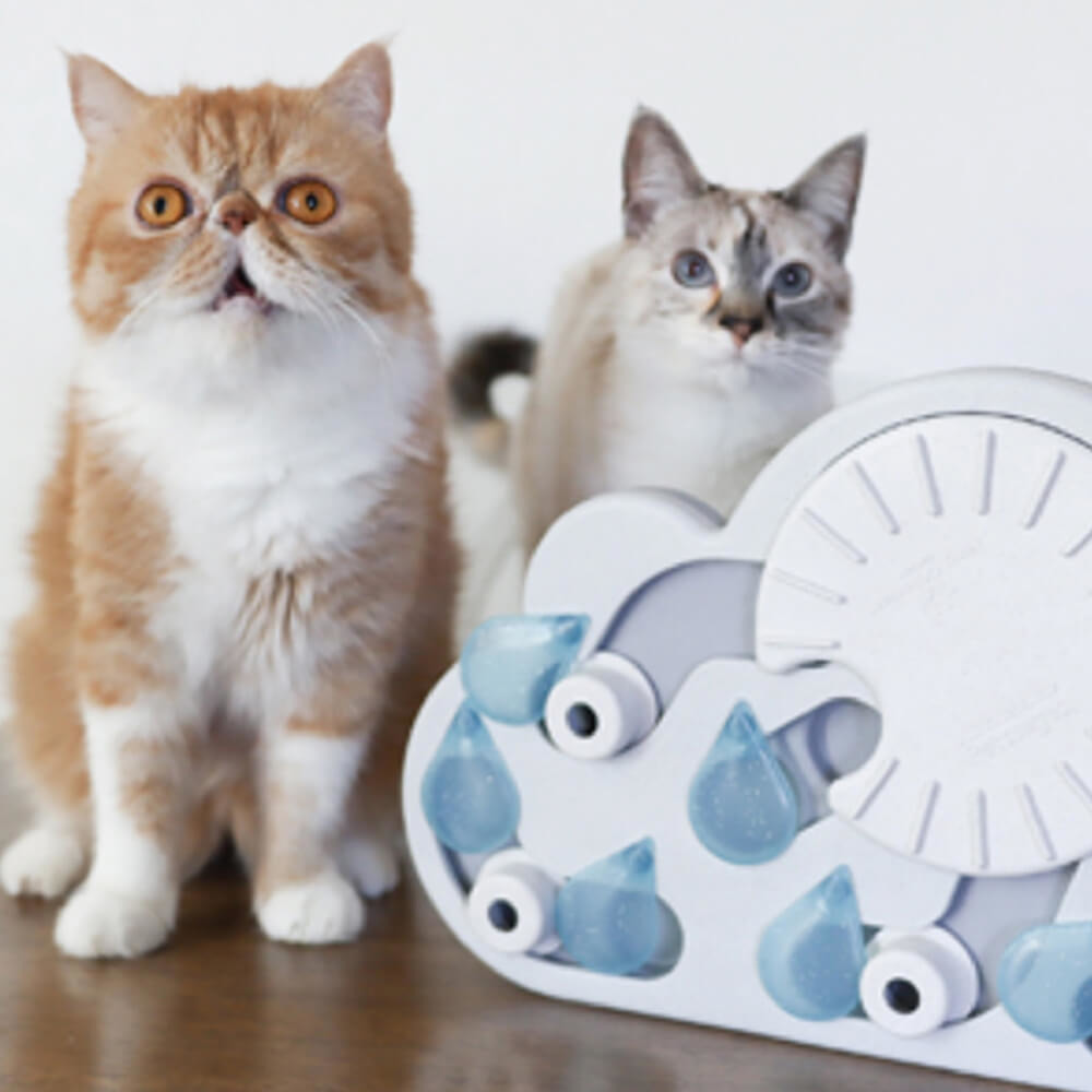 【寵物益智、抗憂鬱玩具】Nina Ottosson 趣味貓-水滴轉盤 LV.3