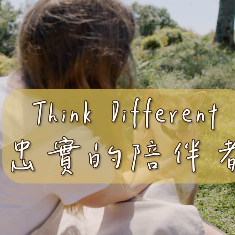 Think Different #忠實的陪伴者