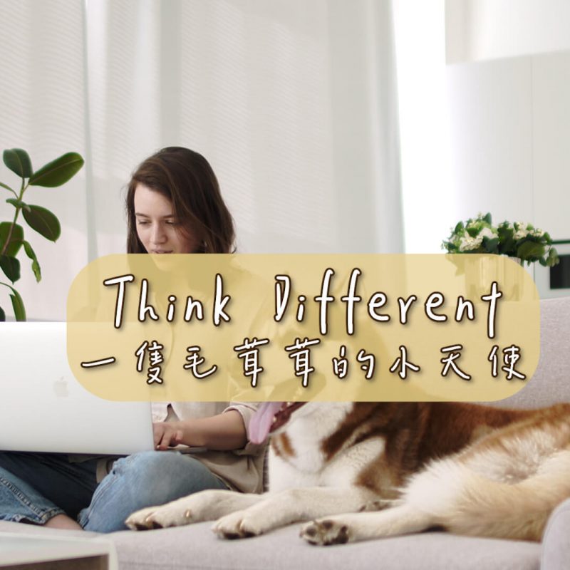 Think Different #毛茸茸的小天使